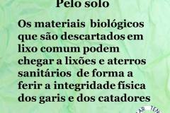 A5-5_TCC_Carolina-Menicke