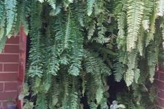 IMG_20250401_121553